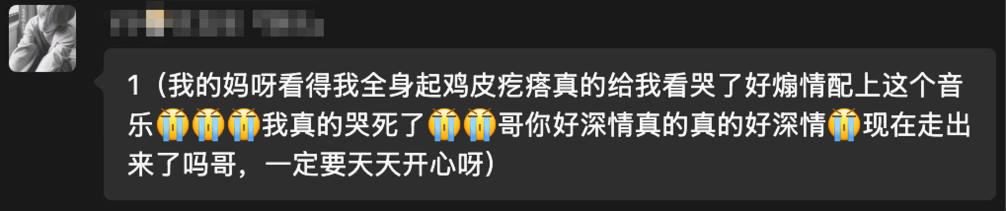 评论截图 2
